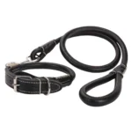 2 1 collare guinzaglio cane cuoio set nero con cuciture bianche a