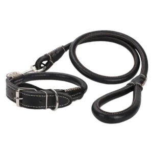 2 1 collare guinzaglio cane cuoio set nero con cuciture bianche a