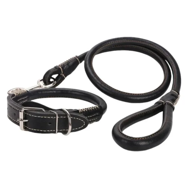 2 1 collare guinzaglio cane cuoio set nero con cuciture bianche a