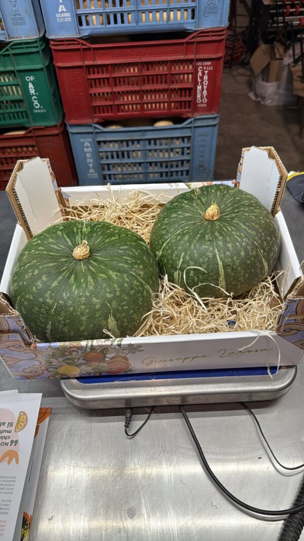Dynia Delica 2-3kg z Solarino - Sycylijska Dynia Kasztanowa